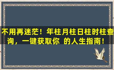 不用再迷茫！年柱月柱日柱时柱查询，一键获取你  的人生指南！